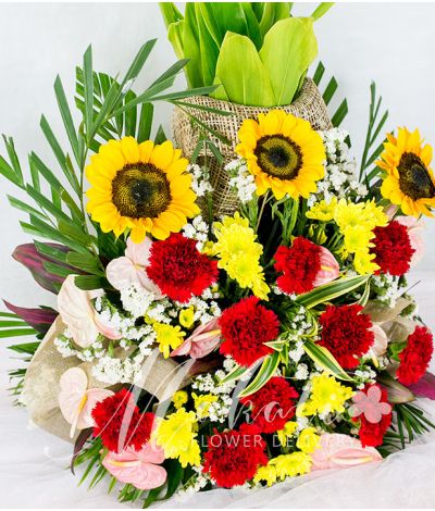 Charming Sunflowers and Carnations in a Vase
