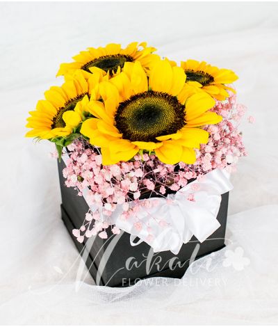 Pretty Sunflowers in a Square Box