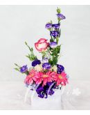 Vibrant Flowers in A Square Box