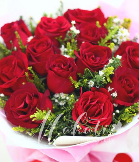 1 Dozen Imported Red Roses