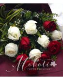 1 Dozen Imported Red and White Roses