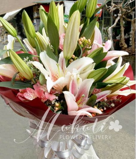 1 Dozen Stargazer Lilies