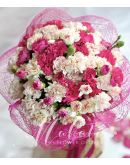 20 White and 20 Pink Carnations